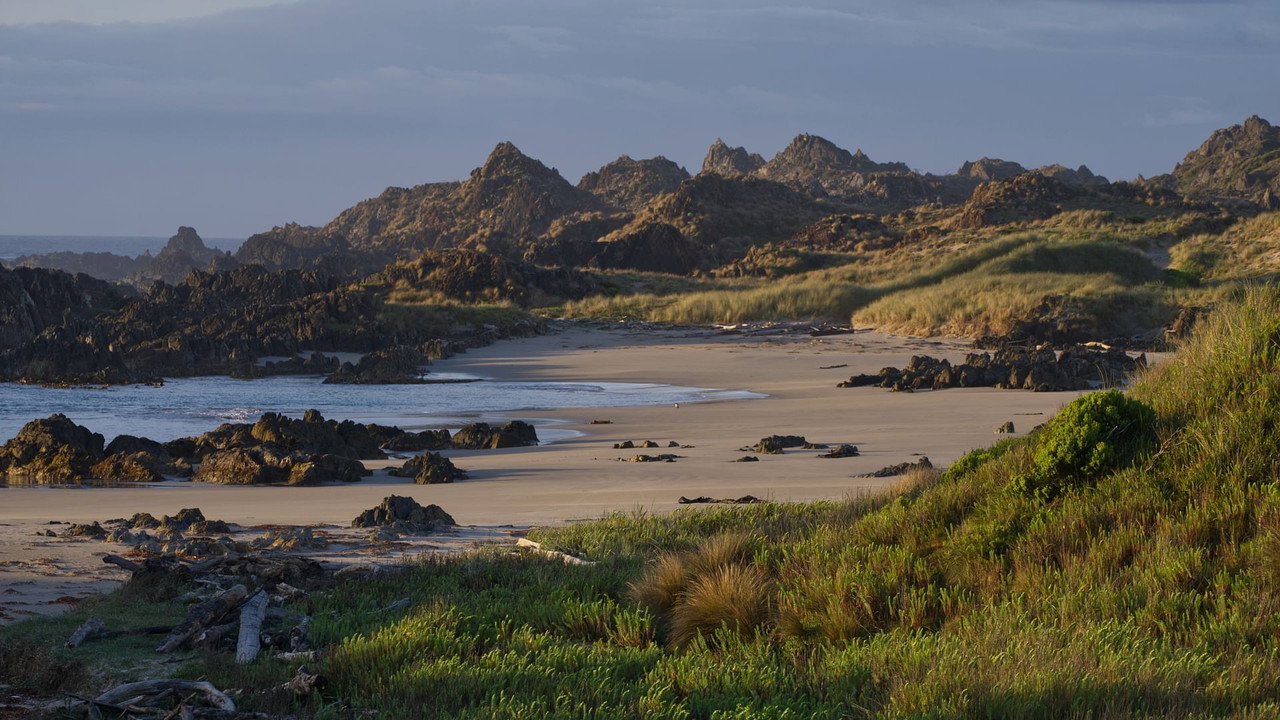Tasmania’s Wild Treasures