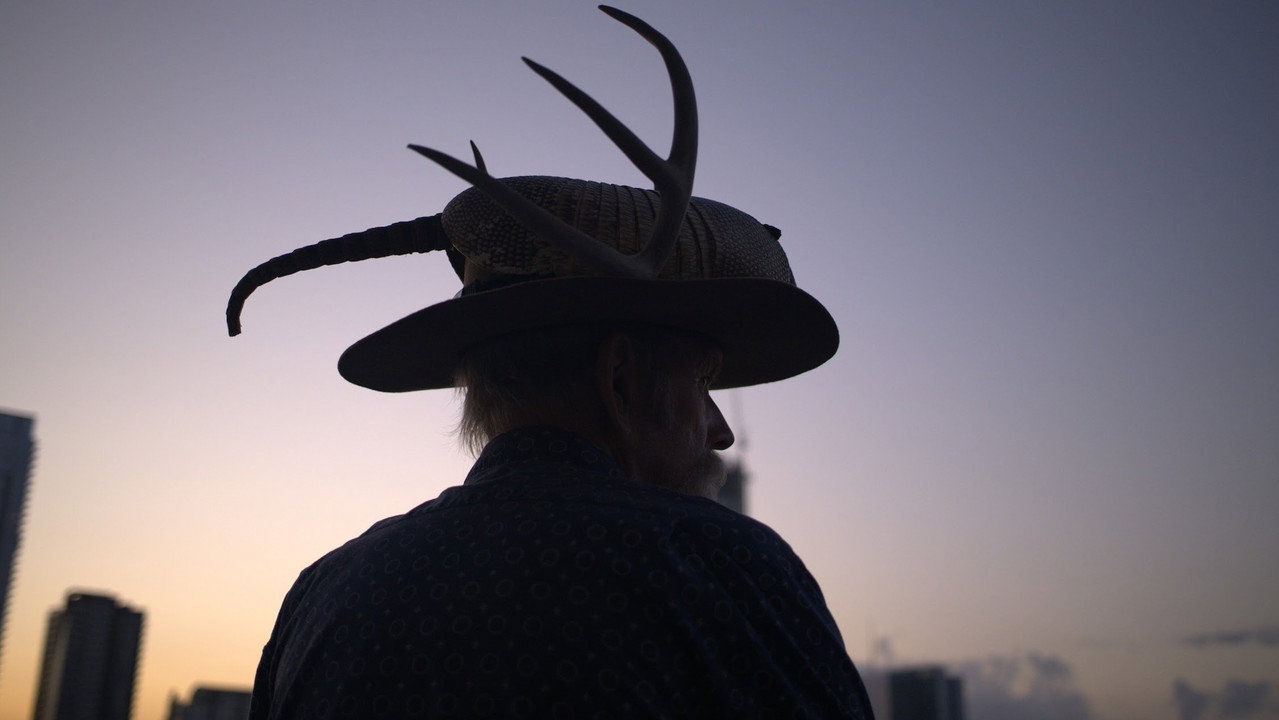 Armadillo Man: The Trips of Jim Franklin