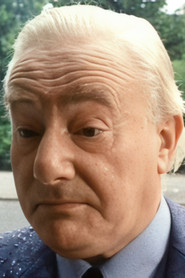 Wim van den Brink