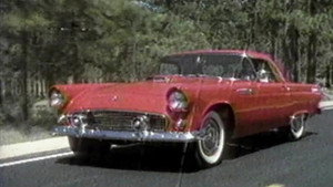 Thunderbird