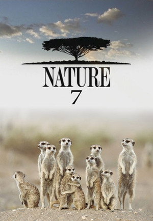 Season 7