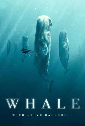 Miniseries