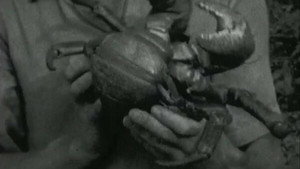 Canoes And Coconut Crabs