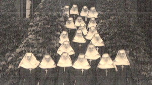 A Vast Company Of Witnesses: The Communion Of Saints