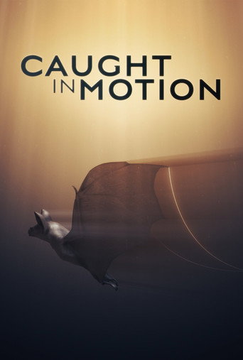 Caught in Motion