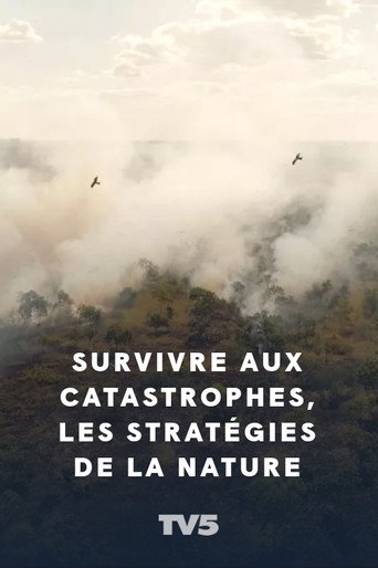 Survivre aux catastrophes, les stratégies de la nature