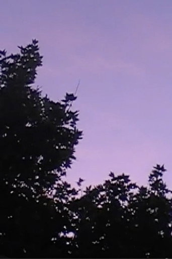 Towards The Night