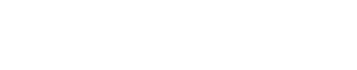 Eva the Owlet logo