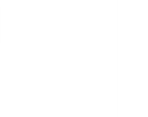 Flee logo