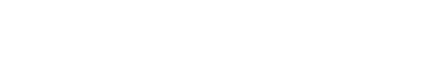 NICE FLIGHT! logo