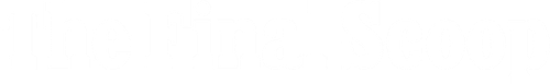 The Final Scoop logo