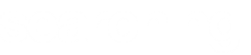 Searching logo