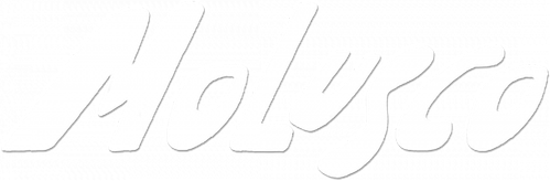 Boyster logo
