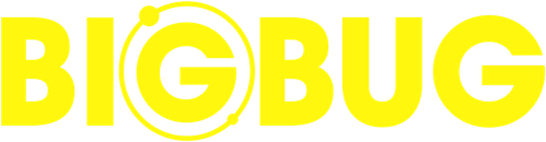 Bigbug logo