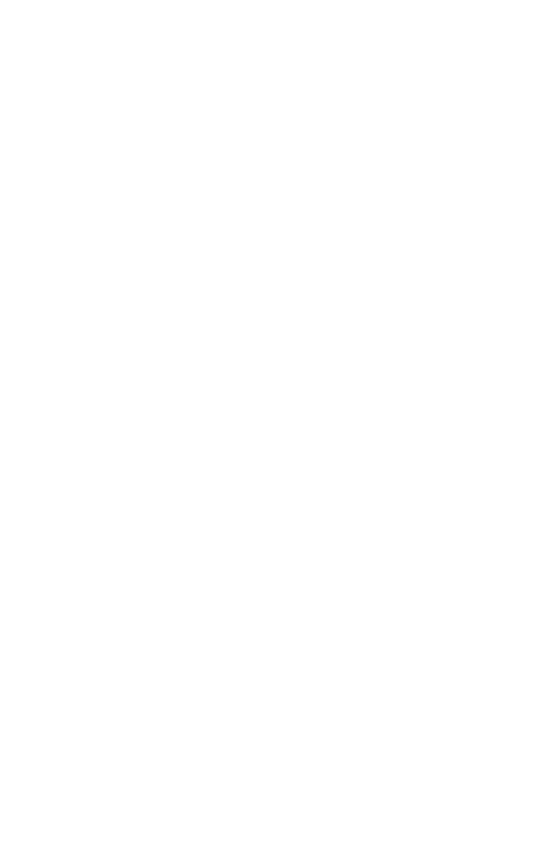 Absolute Zero logo