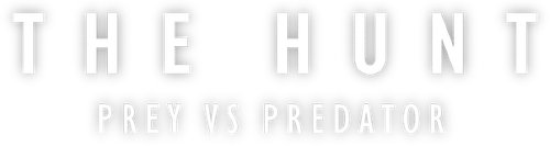 The Hunt: Prey vs Predator logo