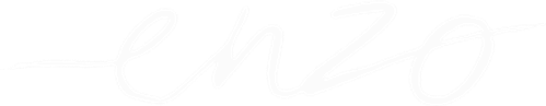 Enzo logo