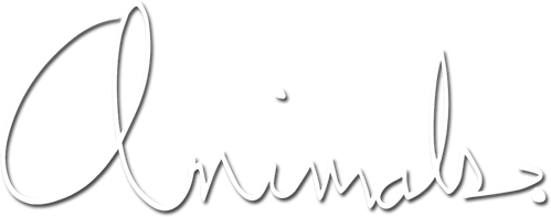Animals. logo