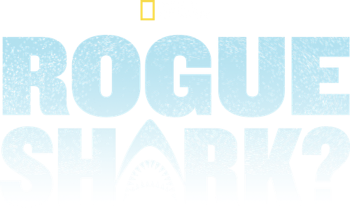 Rogue Shark logo