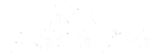 Santastein logo