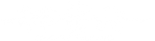 Ghost Hound logo