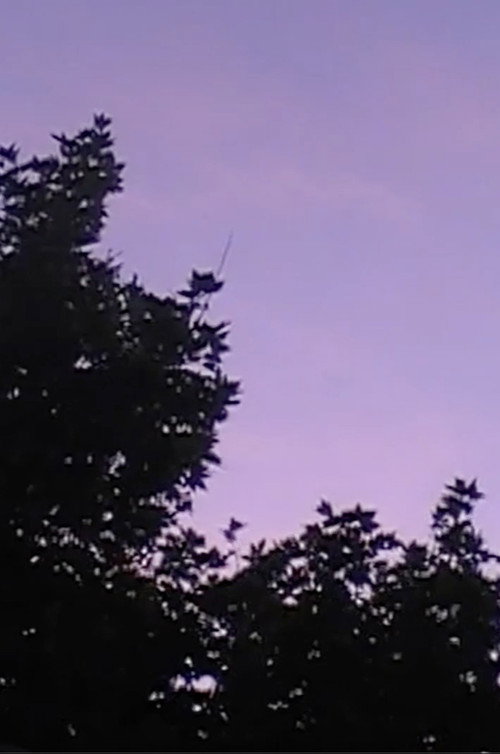 Towards The Night