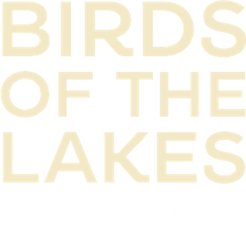 Birds of the Lakes Return logo