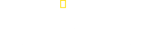 What the Shark? logo
