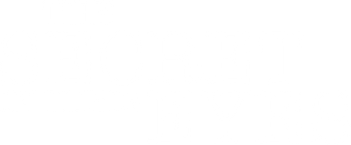The Secret in Their Eyes logo