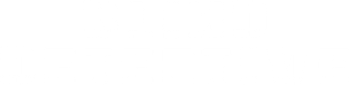 Blind Detective logo