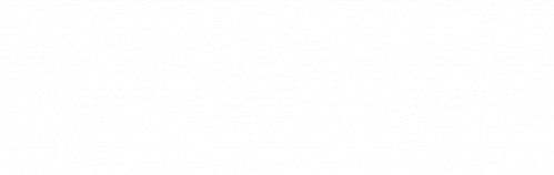 Aurora Borealis: Northern Light logo
