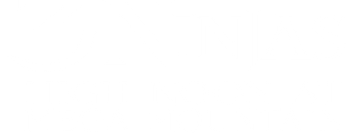 3 Ninjas: High Noon at Mega Mountain logo