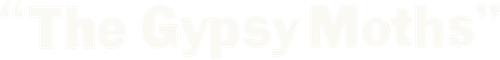 The Gypsy Moths logo