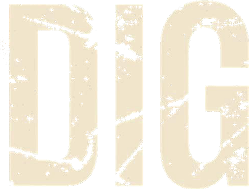 Dig logo