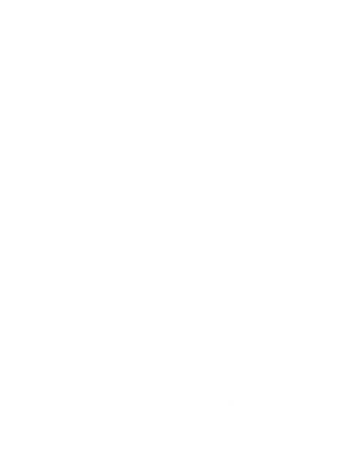 The Notorious Concubines logo