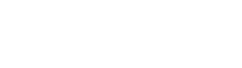 The Lowdown logo