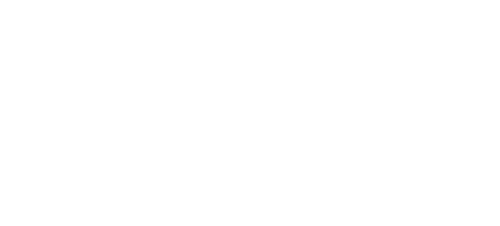 Sophie's Choice logo