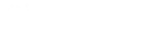 Strange Lady in Town logo