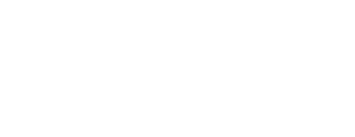 Heidi logo