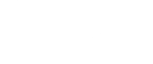 The United States of Insanity logo