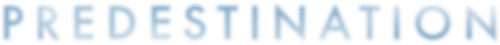 Predestination logo