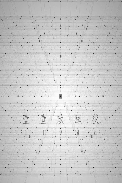 1194D