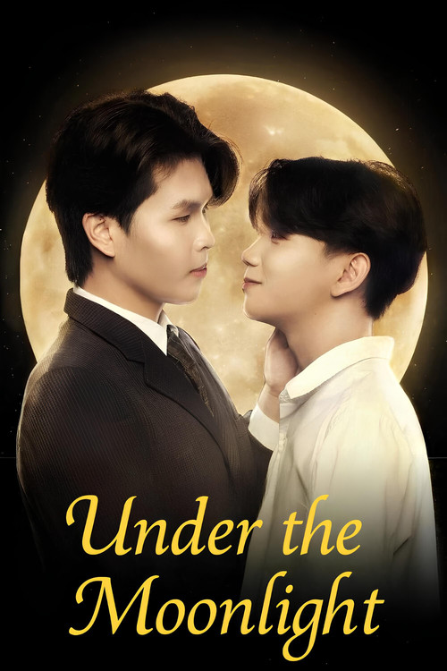 Under the Moonlight